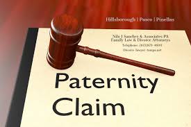paternity lawyers