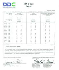 parental dna test