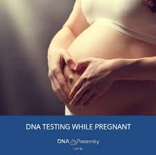 dna paternity test while pregnant