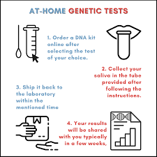 dna test while pregnant