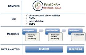 non invasive prenatal dna testing