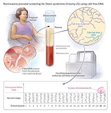 noninvasive prenatal paternity test