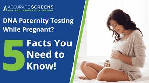 paternity test at home while pregnant