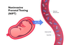 dna test while pregnant near me