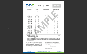 legal dna test