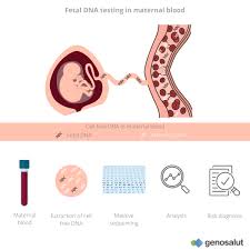 paternity test while pregnant cost