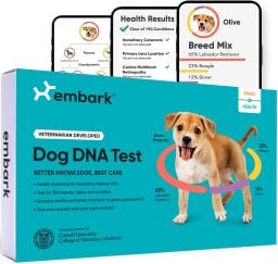 dna test deals