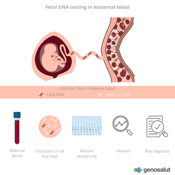 dna test without mother knowing