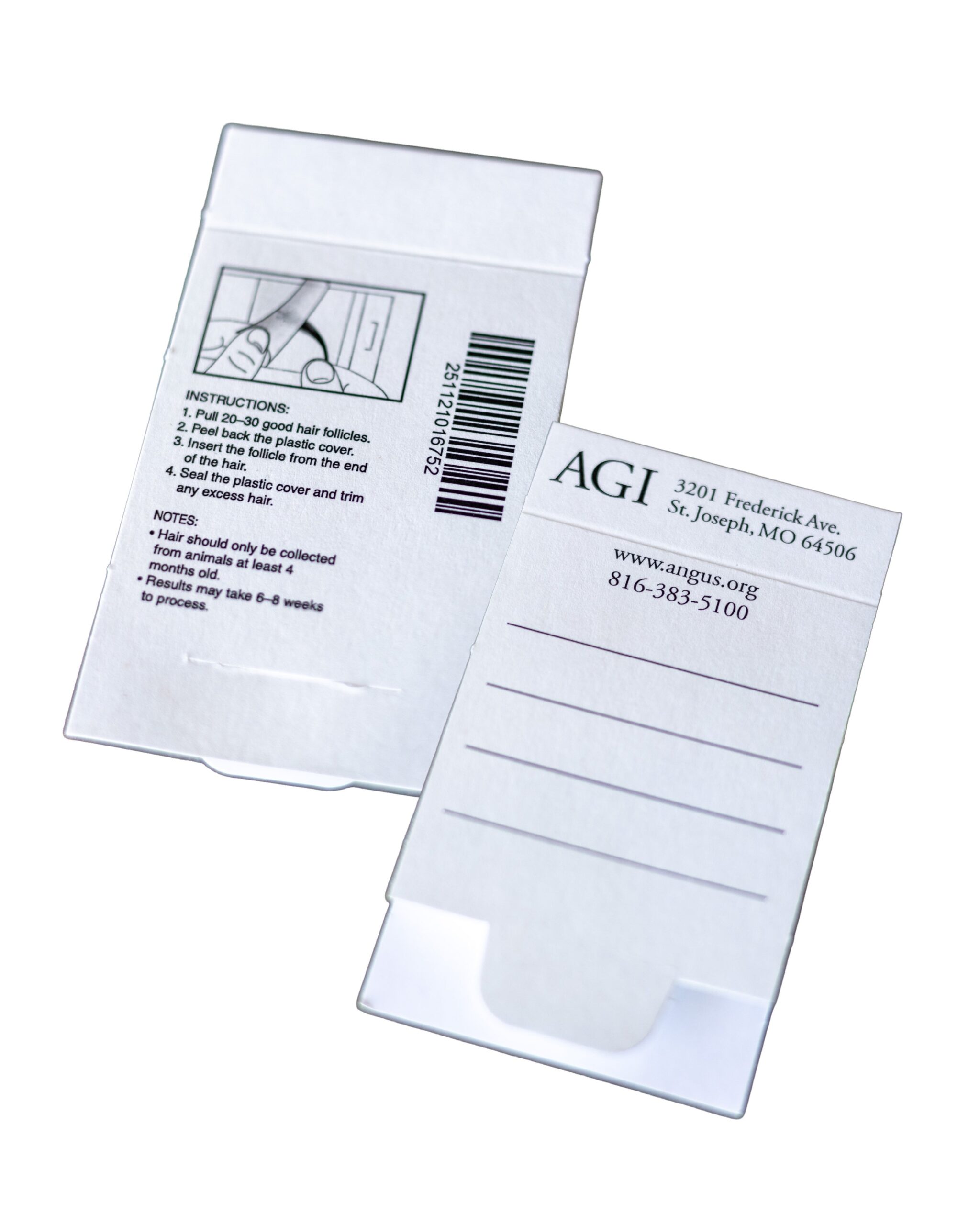 hair follicle paternity test