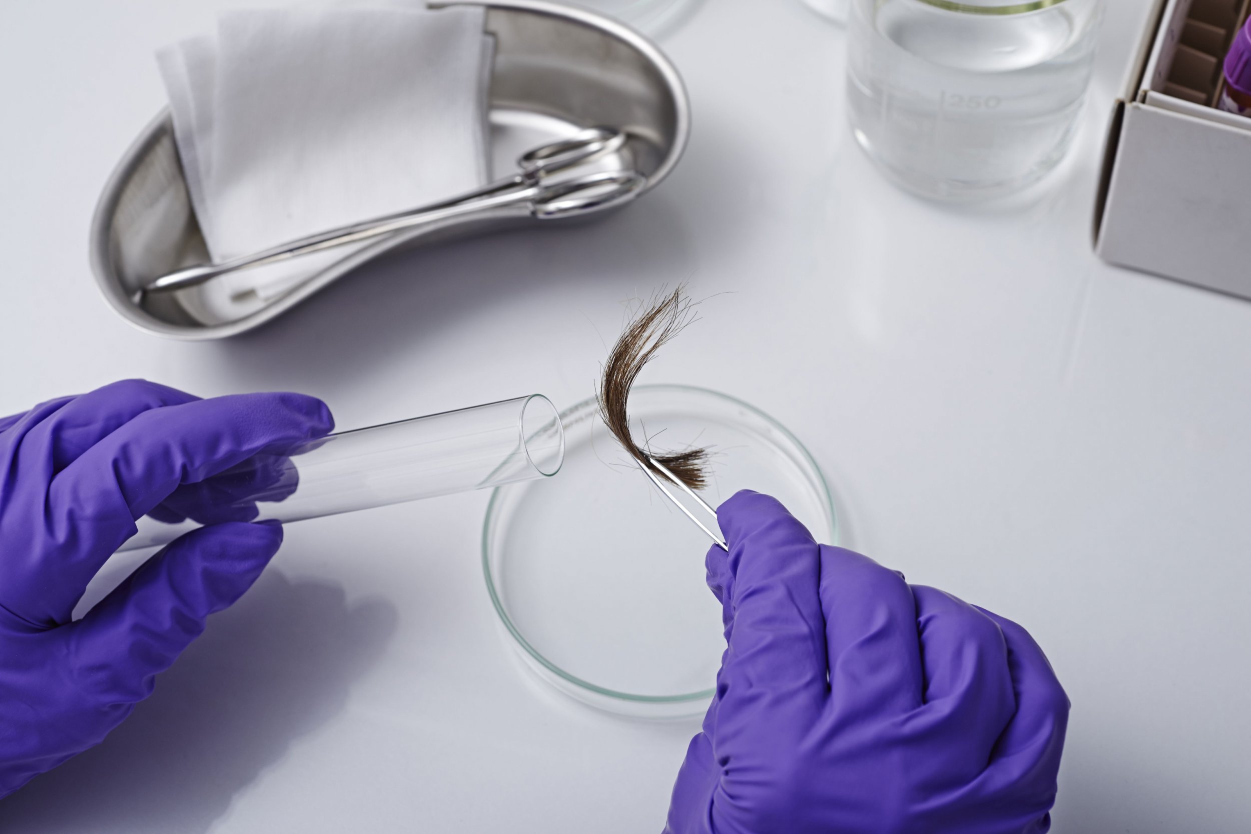 hair dna test at home