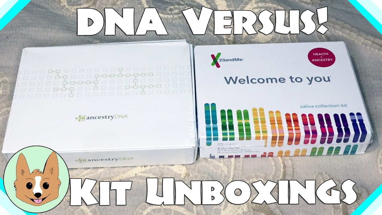 24 and me dna test