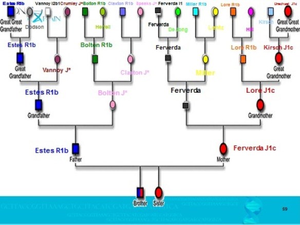 y37 dna test